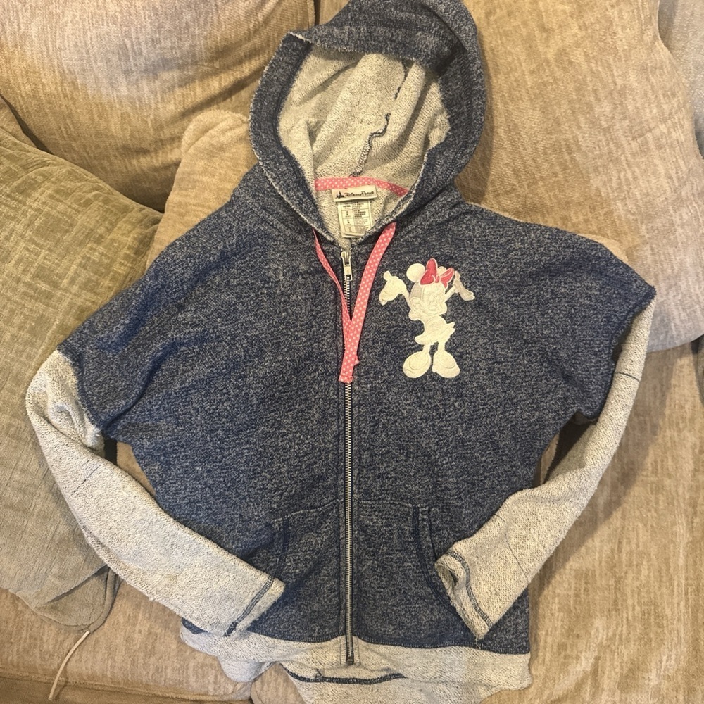Disney Parks Y2K Navy and Light Gray Hoodie with Minnie character